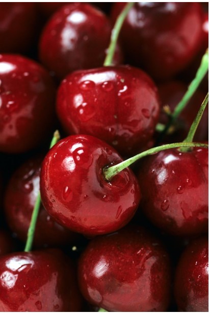 Ягоди вишні сорту Ерді Крупноплідна